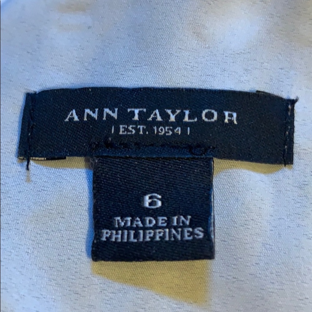 Ann Taylor Shift Dress - Picture 5 of 5